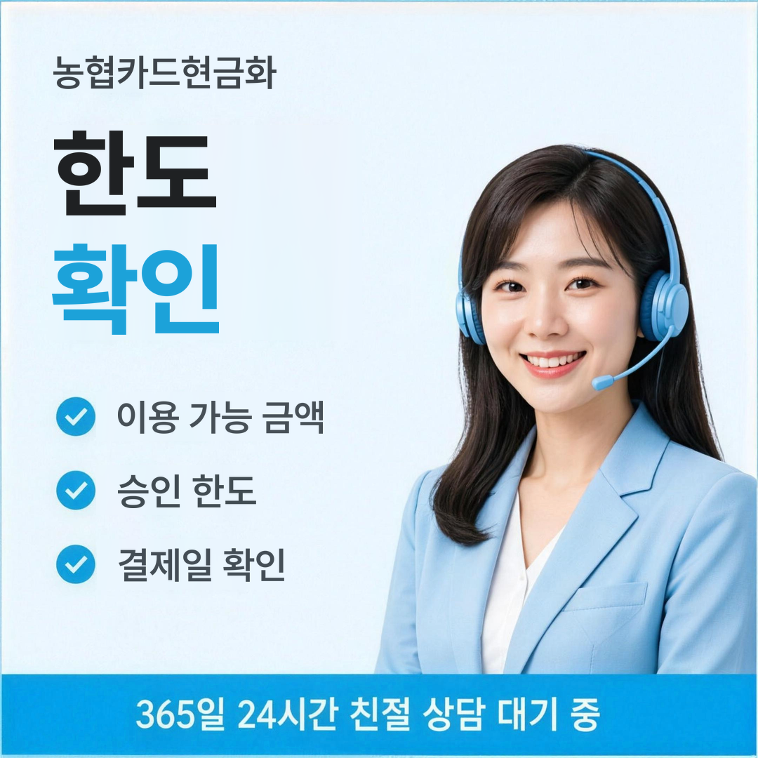 다음머니 농협카드현금화 한도 확인 안내
