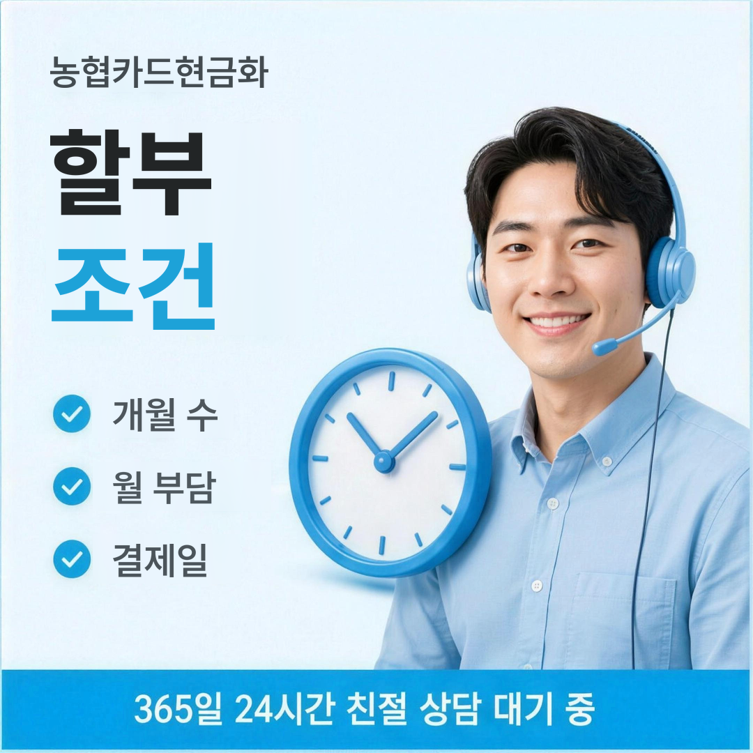 다음머니 농협카드현금화 할부 조건 안내